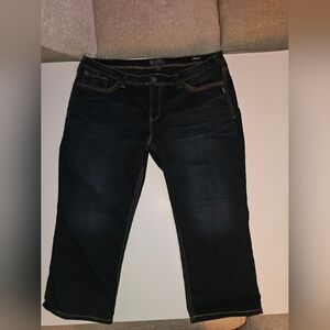 Women's Plus Size Silver Black Jeans